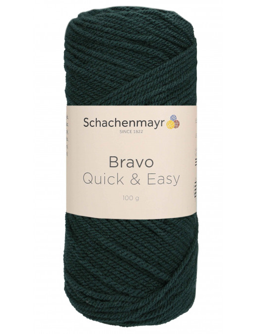 Schachenmayr Bravo Quick & Easy 8246